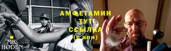 прущие грибы Алзамай