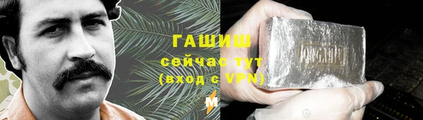 прущие грибы Алзамай