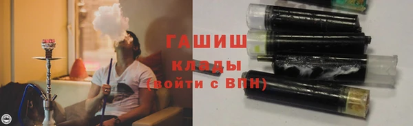 прущие грибы Алзамай