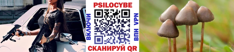Псилоцибиновые грибы мухоморы  Новочеркасск 