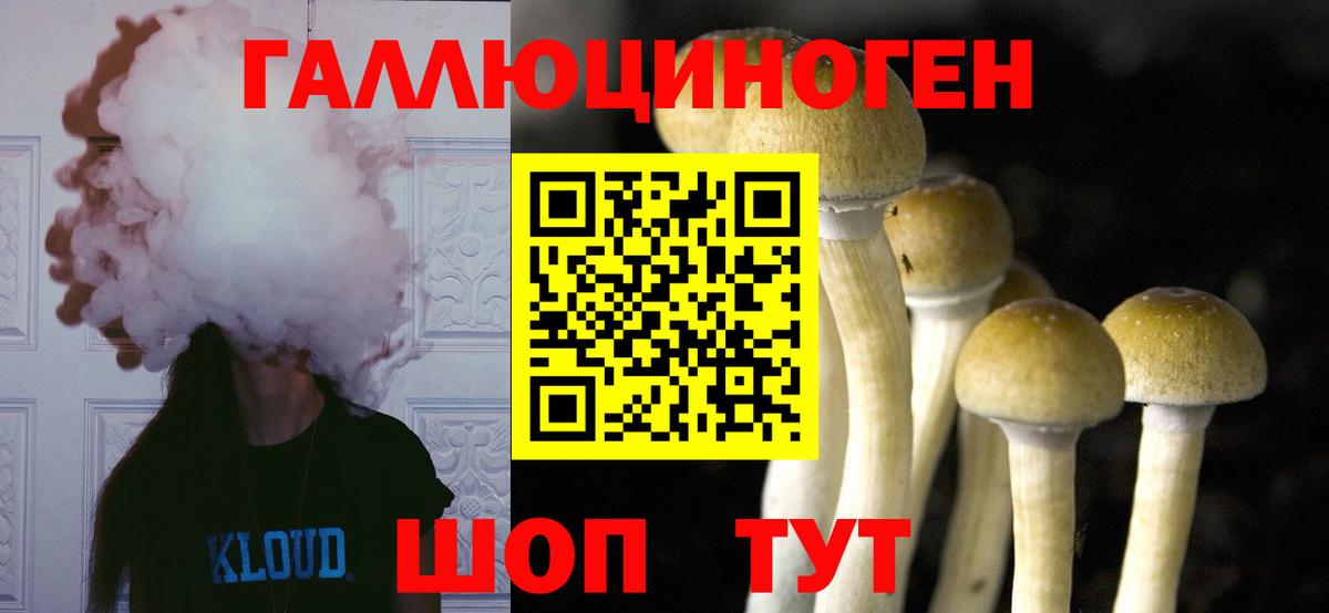 Новочеркасск  Галлюциногенные грибы Psilocybe  Вход с VPN 